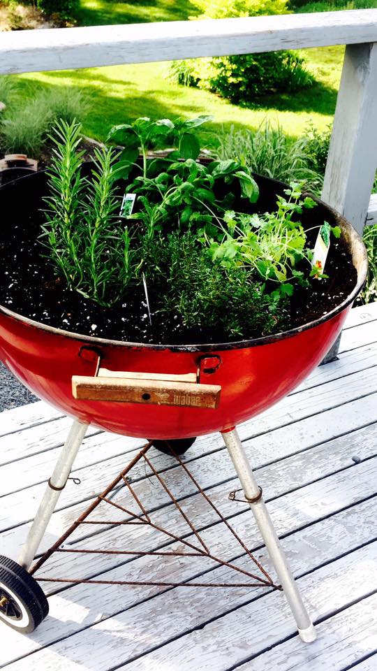 19399678_10211617825413763_8607335619351991683_n